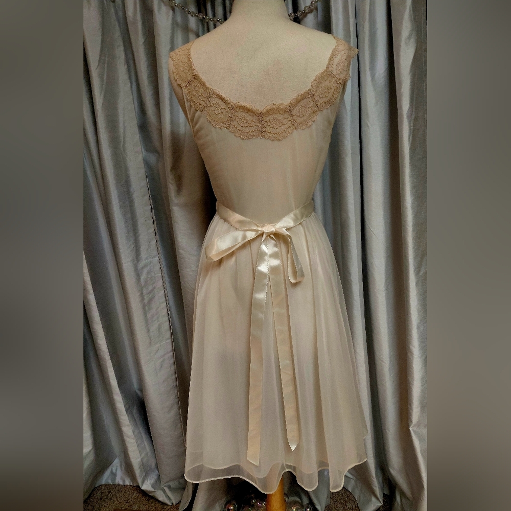 Vintage Negligee - image 2